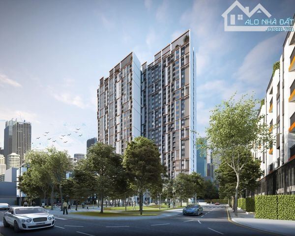 4285507 ảnh đại diện 1