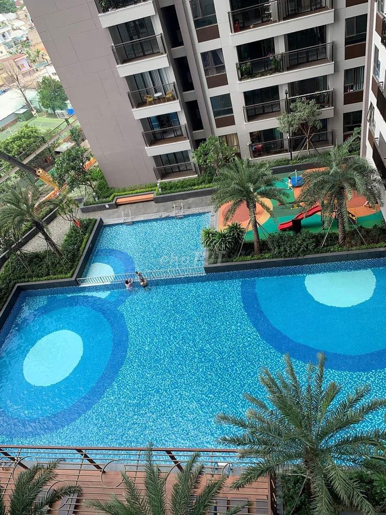 4288238 ảnh đại diện 2