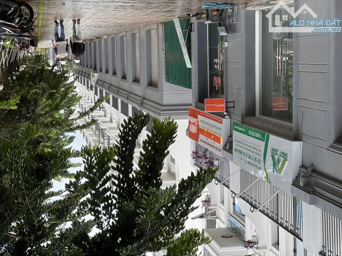 4285345 ảnh đại diện 2