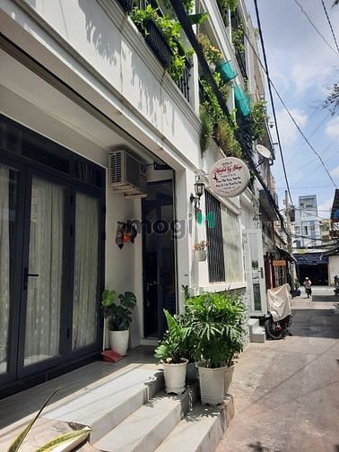 4287683 ảnh đại diện 2