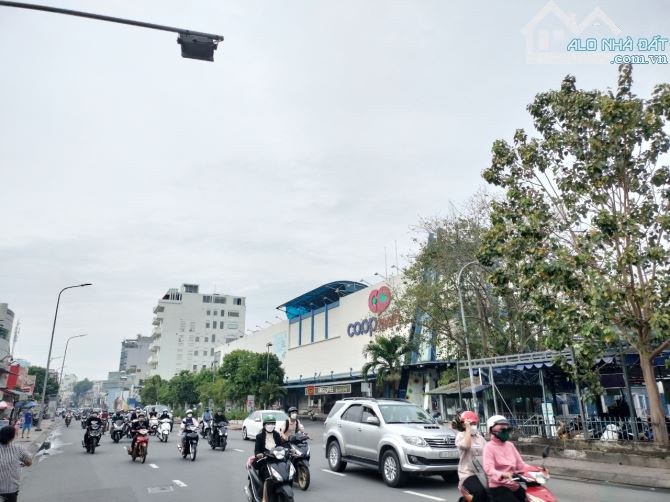 4285628 ảnh đại diện 1