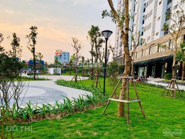 4286218 ảnh đại diện 1