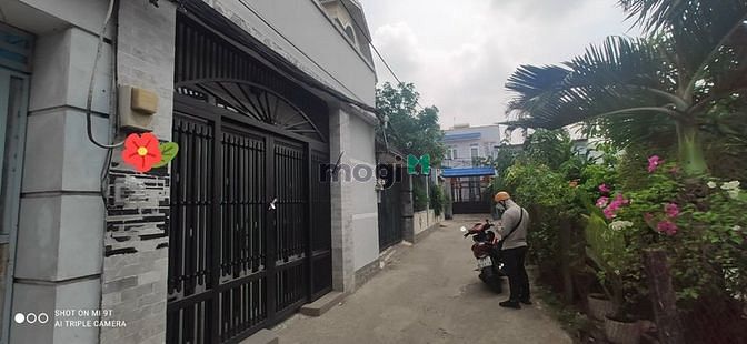 4288003 ảnh đại diện 2