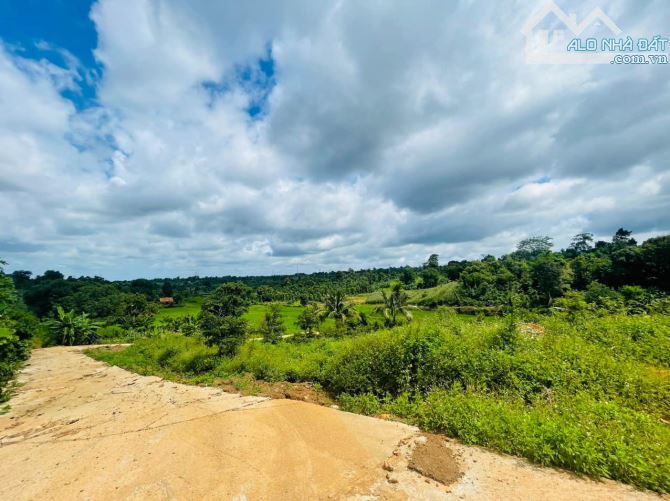 4284860 ảnh đại diện 2