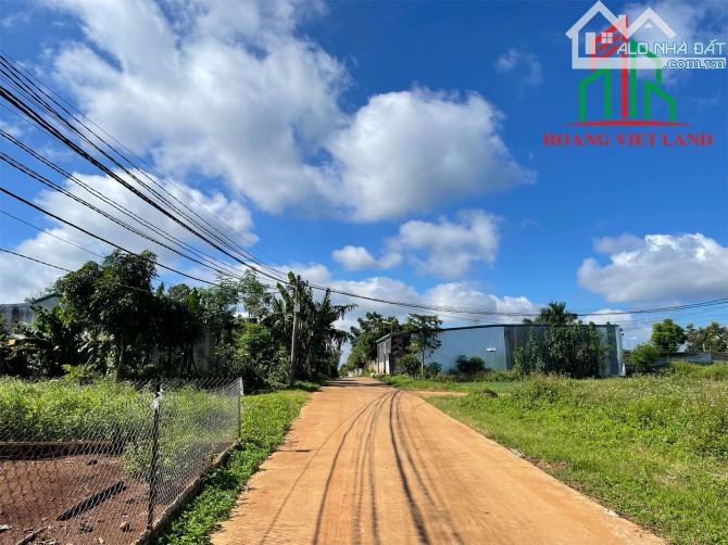 4284861 ảnh đại diện 1