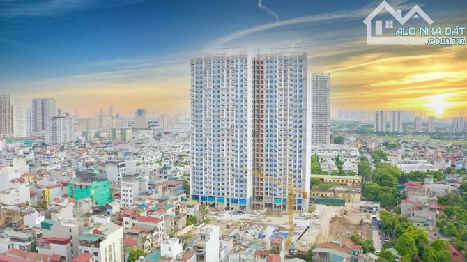 4285502 ảnh đại diện 1