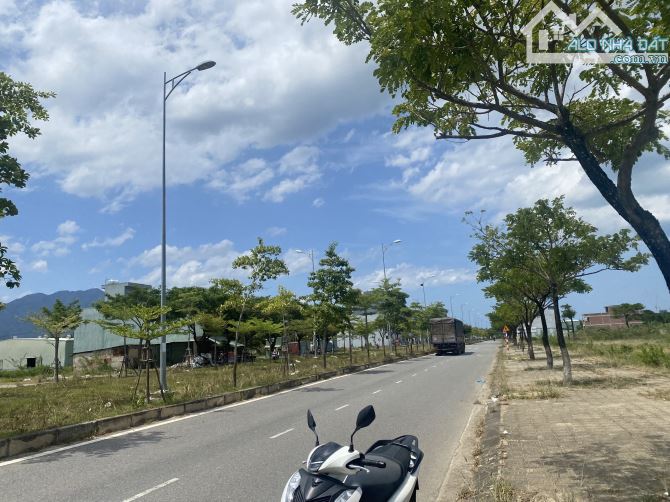 4285928 ảnh đại diện 1