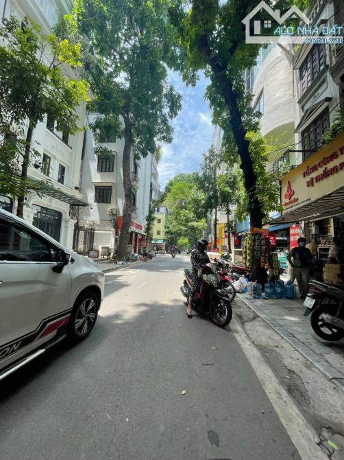 4285335 ảnh đại diện 2