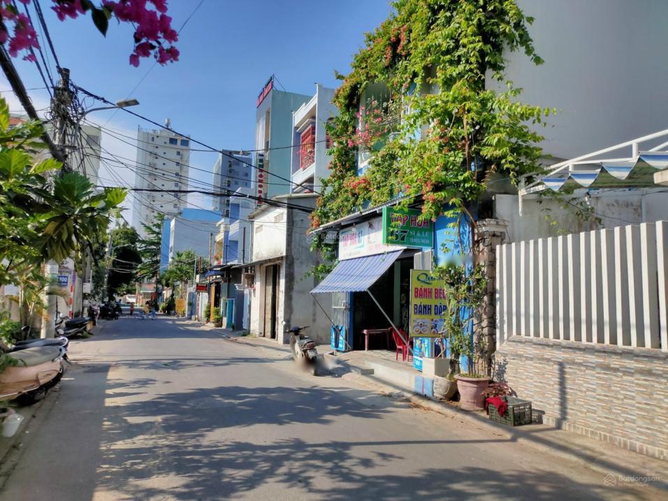 4286532 ảnh đại diện 1