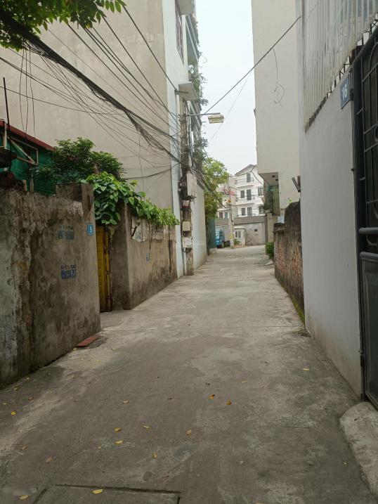 4285949 ảnh đại diện 2