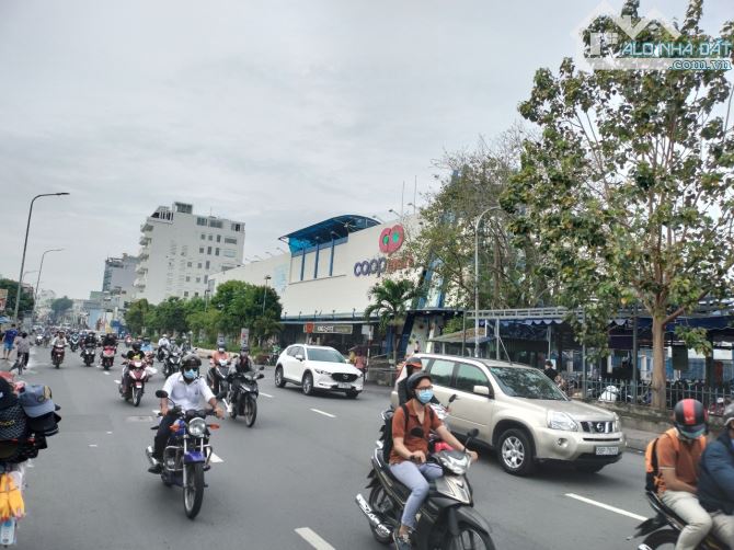 4285628 ảnh đại diện 1