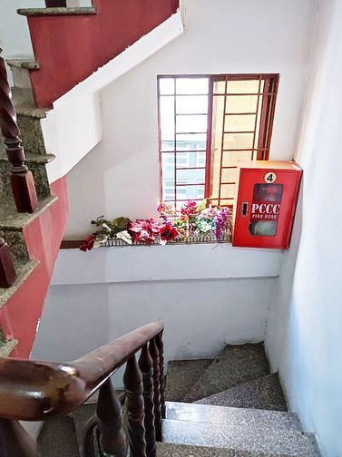 4288022 ảnh đại diện 1