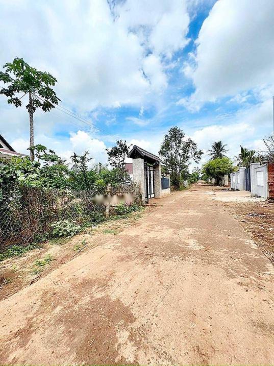 4285119 ảnh đại diện 2