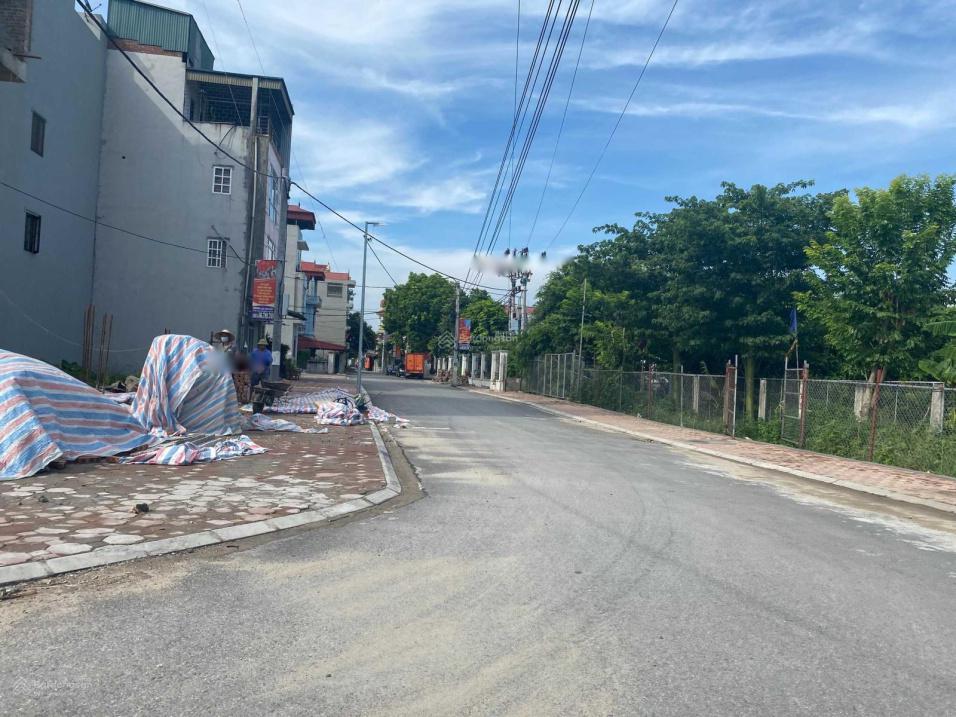 4285944 ảnh đại diện 1