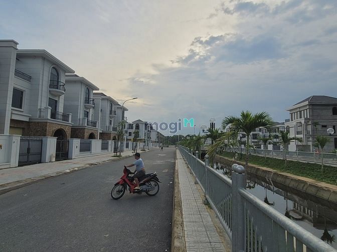 4285657 ảnh đại diện 1