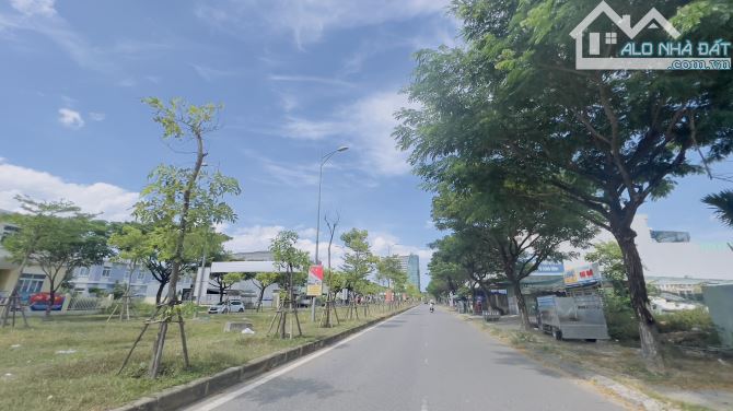 4285927 ảnh đại diện 2