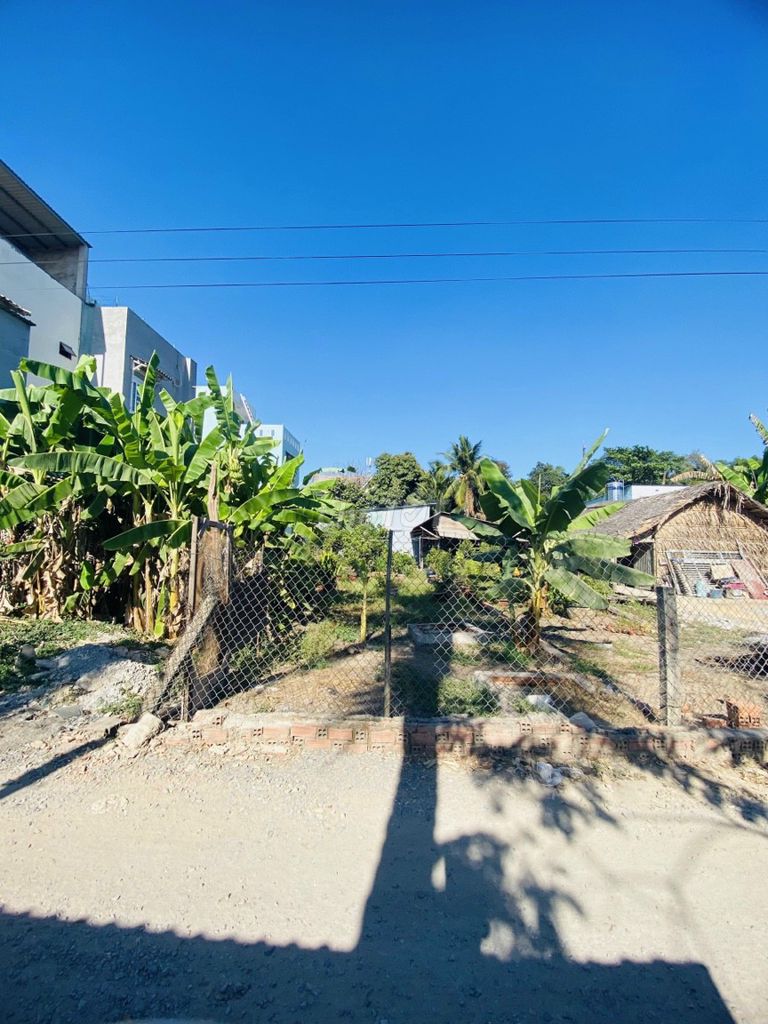4286391 ảnh đại diện 1