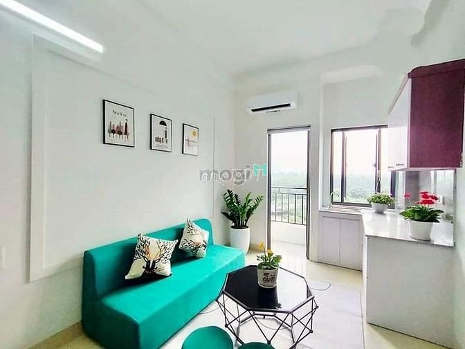 4284893 ảnh đại diện 2