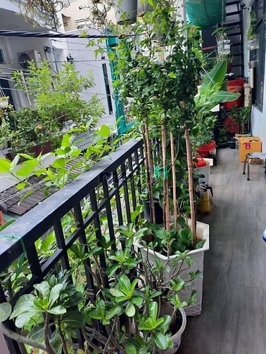 4287683 ảnh đại diện 1