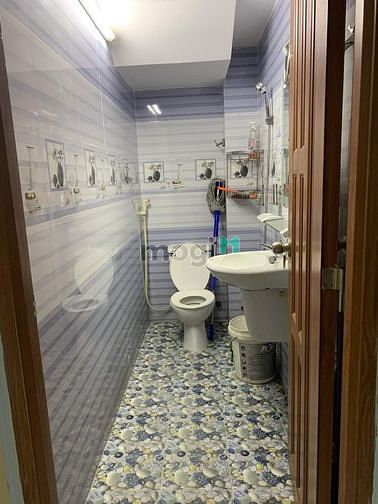 4287682 ảnh đại diện 2
