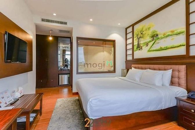 4288020 ảnh đại diện 1