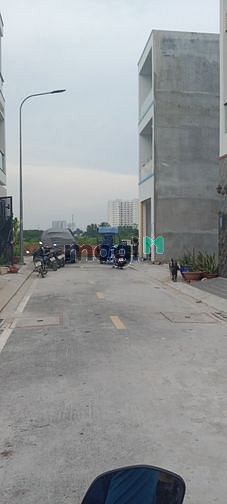 4285510 ảnh đại diện 2