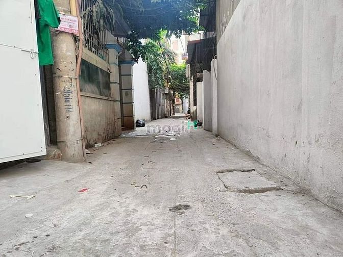 4284893 ảnh đại diện 1