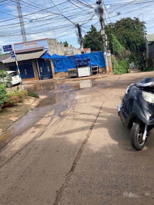 4285122 ảnh đại diện 1