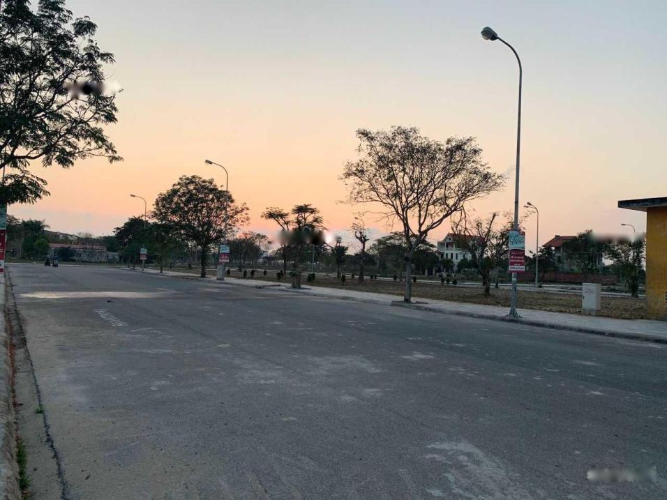 4285390 ảnh đại diện 2