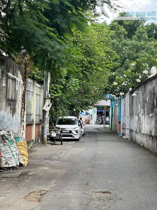 4285639 ảnh đại diện 1