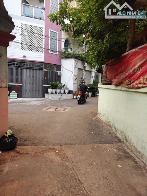 4284768 ảnh đại diện 2