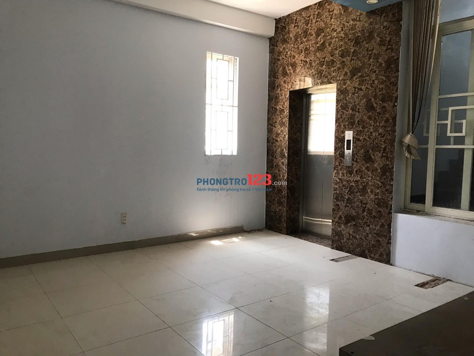 4286110 ảnh đại diện 2
