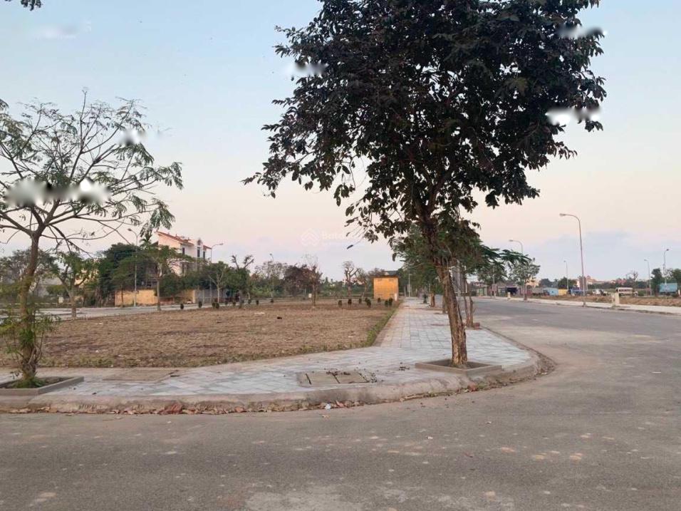 4285390 ảnh đại diện 1