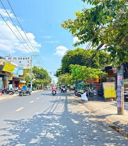 4287143 ảnh đại diện 2