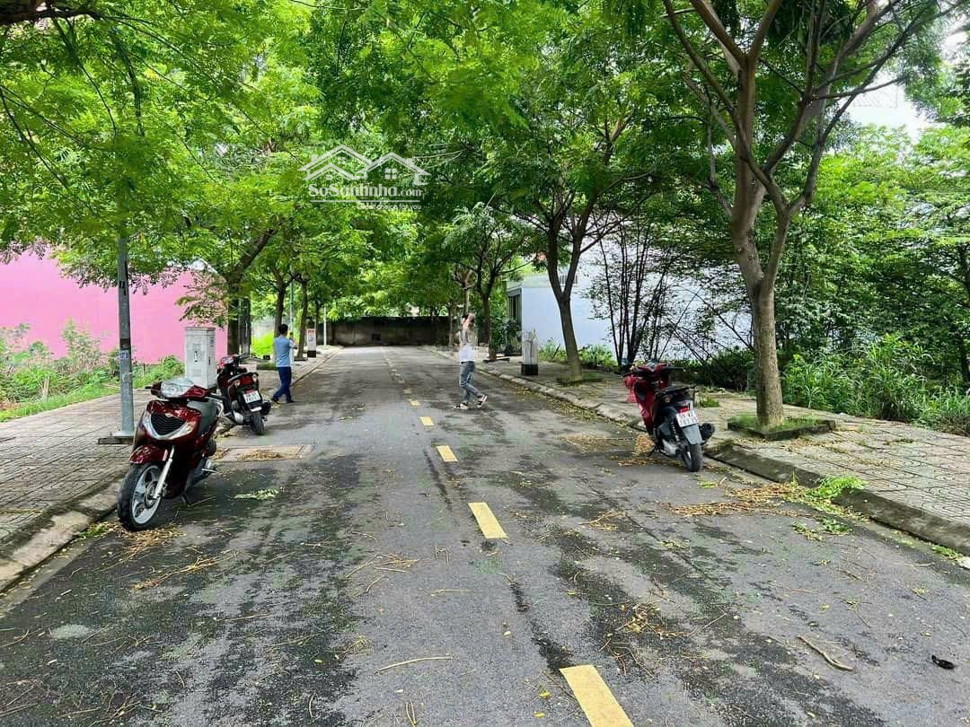 4289373 ảnh đại diện 2