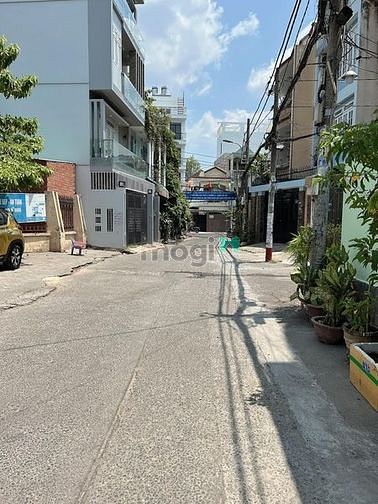 4288942 ảnh đại diện 1