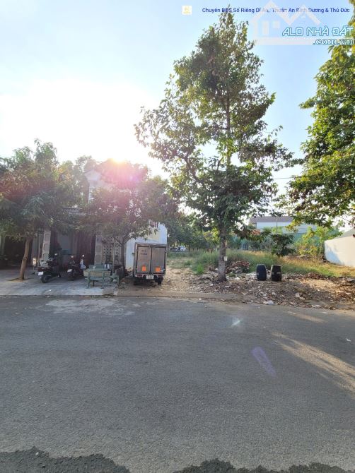 4289693 ảnh đại diện 2