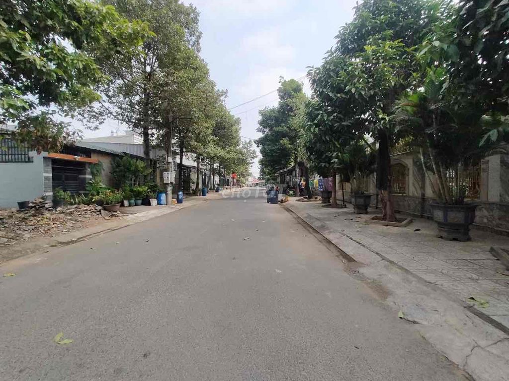 4289708 ảnh đại diện 2