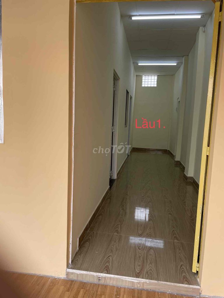 4290205 ảnh đại diện 1