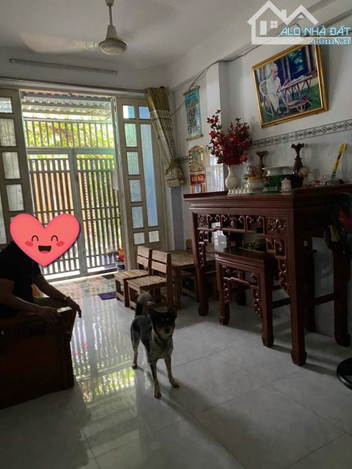 4289504 ảnh đại diện 1
