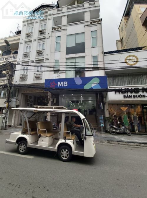 4288835 ảnh đại diện 1