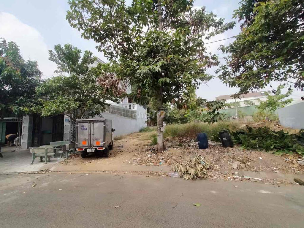 4289708 ảnh đại diện 1