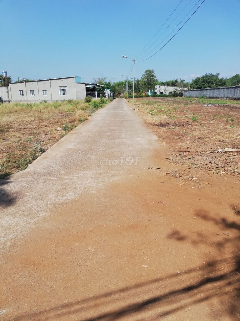 4290110 ảnh đại diện 1