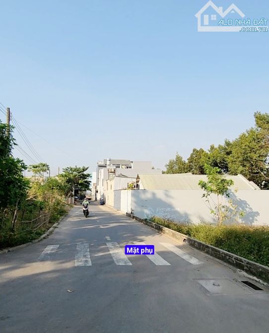 4289693 ảnh đại diện 1