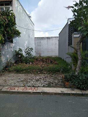 4289606 ảnh đại diện 1