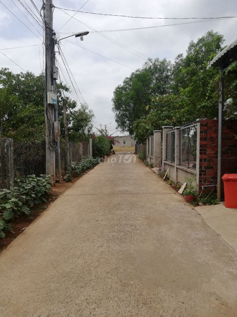 4290110 ảnh đại diện 2