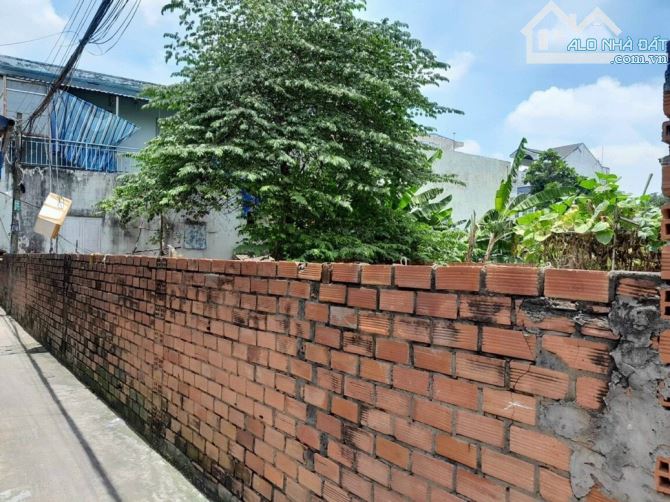 4289602 ảnh đại diện 2