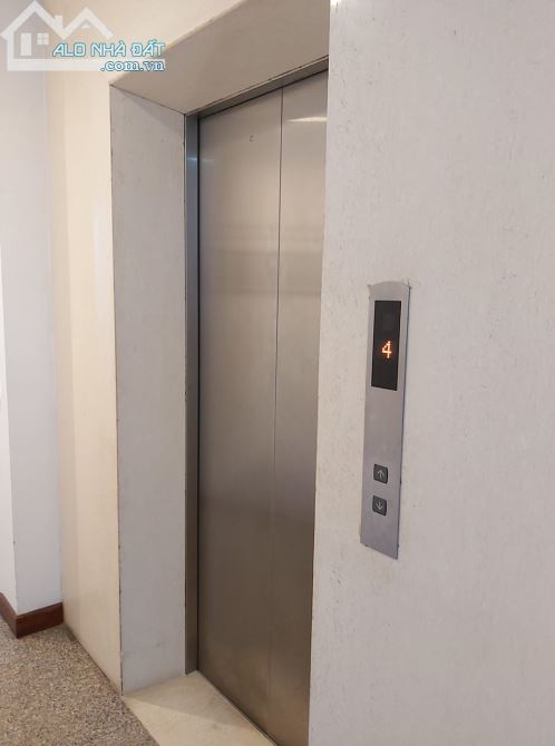 4288835 ảnh đại diện 2