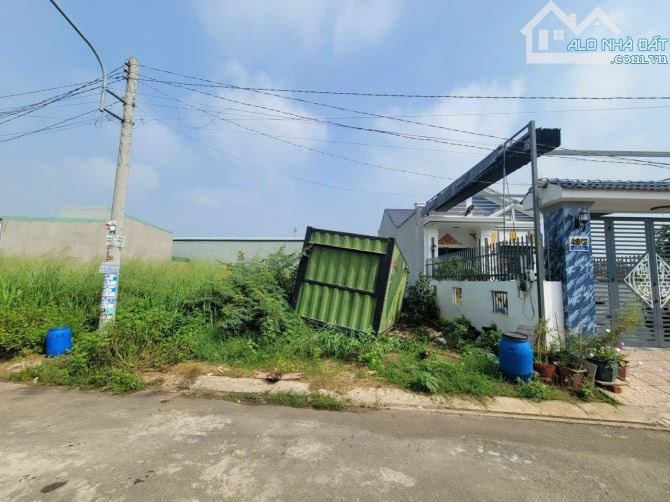 4289702 ảnh đại diện 1