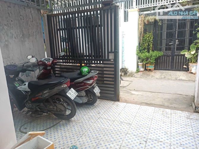 4289534 ảnh đại diện 2